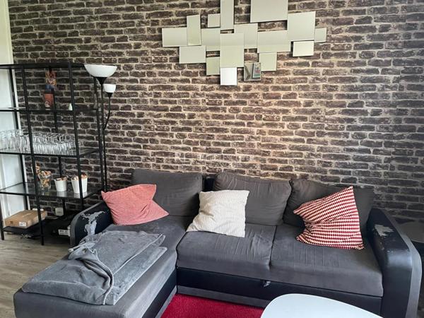 Appartement à louer à Villeurbanne (69100)