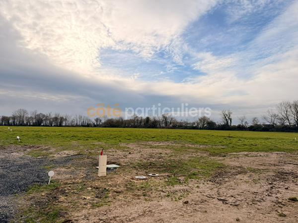 Vente TerrainTREVIERES (14710)