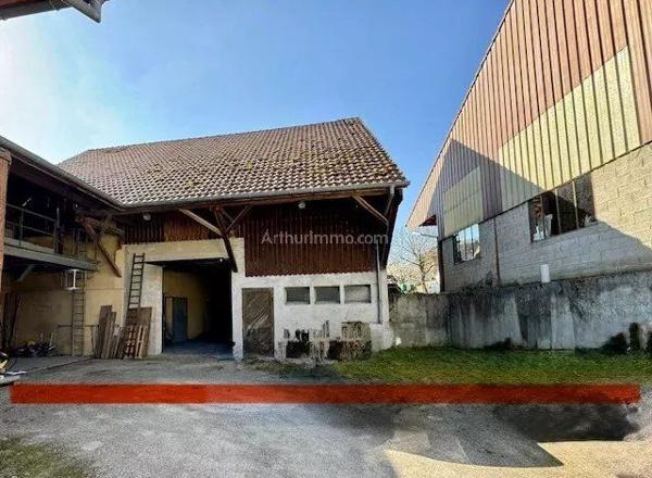 Vente Local commercial 1 pièces 280 m2 à Orschwihr