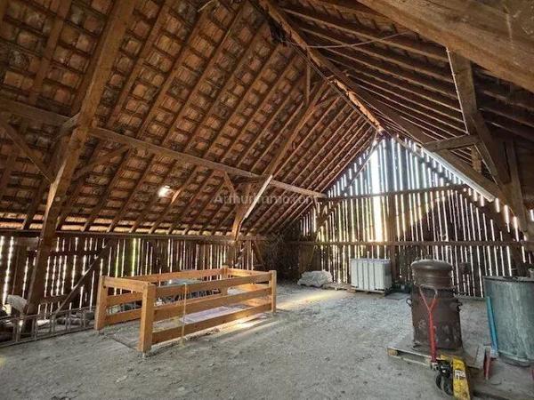 Vente Local commercial 1 pièces 280 m2 à Orschwihr