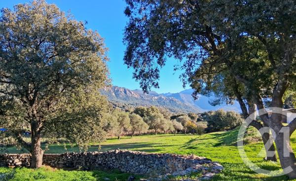 Maison à vendre  6 pièces - 150 m2 MONTEGROSSO - 202