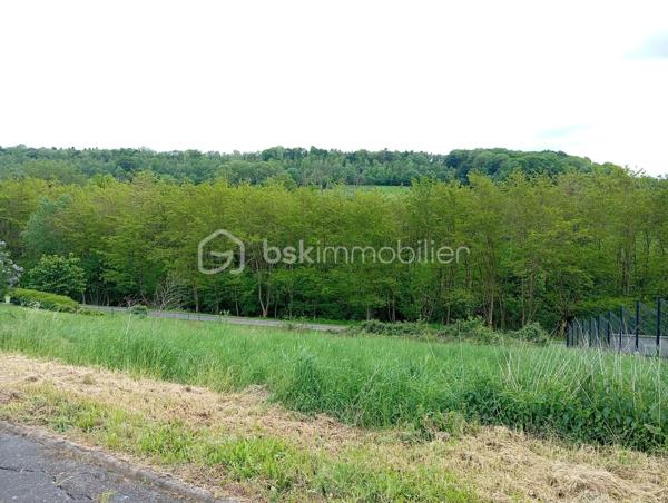 Votre conseillère immobilière, Shana Wurmser, vous propose en exclusivité un ensemble de terrains situé sur la commune de Pouru-aux-Bois, entre collines et de vallées boisées offrant un cadre naturel exceptionnel.

Ce bien se compose de :

-Un premier terrain constructible d’une superficie de 948 m², situé dans un lotissement calme.
Il dispose d’une façade d’environ 26 mètres et d’un terrain en pente, idéal pour la construction d’une maison avec sous-sol.
Les réseaux sont situés en bord de voirie.

Un second terrain boisé, situé en face, d’une superficie de 7 643 m².
Un véritable havre de paix et de nature, agrémenté d’un ruisseau et d’une tourbière, idéal pour les amoureux de tranquillité et d’environnement préservé.

A venir découvrir sans tarder