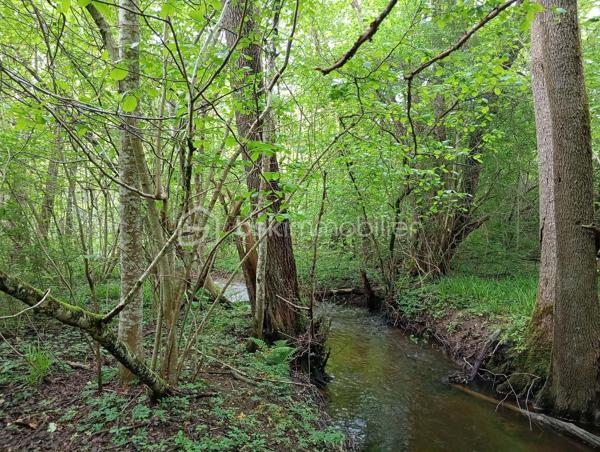 Votre conseillère immobilière, Shana Wurmser, vous propose en exclusivité un ensemble de terrains situé sur la commune de Pouru-aux-Bois, entre collines et de vallées boisées offrant un cadre naturel exceptionnel.

Ce bien se compose de :

-Un premier terrain constructible d’une superficie de 948 m², situé dans un lotissement calme.
Il dispose d’une façade d’environ 26 mètres et d’un terrain en pente, idéal pour la construction d’une maison avec sous-sol.
Les réseaux sont situés en bord de voirie.

Un second terrain boisé, situé en face, d’une superficie de 7 643 m².
Un véritable havre de paix et de nature, agrémenté d’un ruisseau et d’une tourbière, idéal pour les amoureux de tranquillité et d’environnement préservé.

A venir découvrir sans tarder