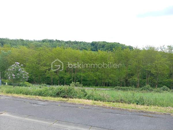 Votre conseillère immobilière, Shana Wurmser, vous propose en exclusivité un ensemble de terrains situé sur la commune de Pouru-aux-Bois, entre collines et de vallées boisées offrant un cadre naturel exceptionnel.

Ce bien se compose de :

-Un premier terrain constructible d’une superficie de 948 m², situé dans un lotissement calme.
Il dispose d’une façade d’environ 26 mètres et d’un terrain en pente, idéal pour la construction d’une maison avec sous-sol.
Les réseaux sont situés en bord de voirie.

Un second terrain boisé, situé en face, d’une superficie de 7 643 m².
Un véritable havre de paix et de nature, agrémenté d’un ruisseau et d’une tourbière, idéal pour les amoureux de tranquillité et d’environnement préservé.

A venir découvrir sans tarder