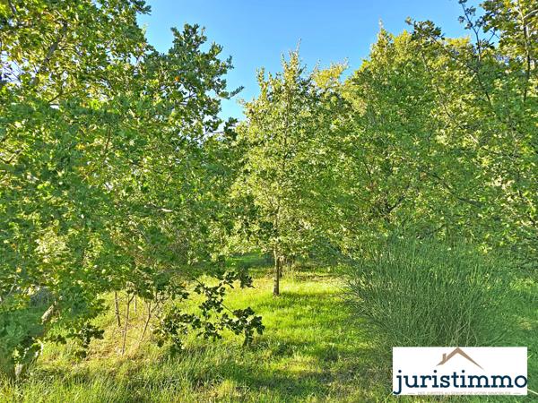 Cairanne (84290) Authentique bâtisse de 1880 avec vue dominante et potentiel exceptionnel