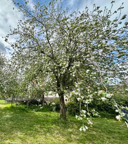 Maison de Maître 5 chambres à 15 minutes de Lisieux