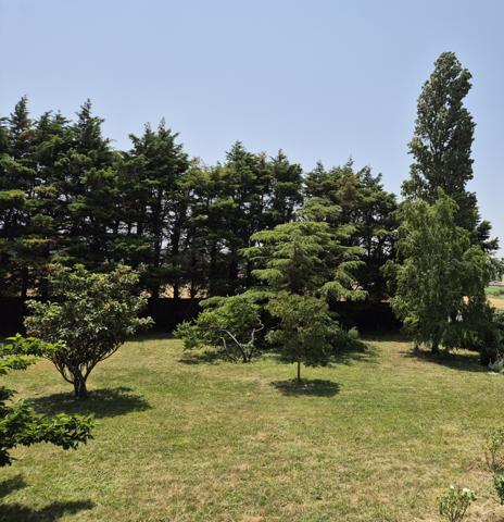 Grande maison avec beau terain et piscine. Bram (11150)