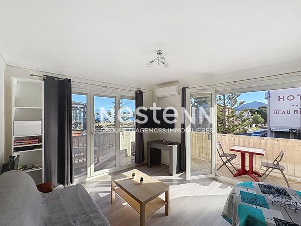 Appartement à Argeles Sur Mer vue mer 2 pièce(s)