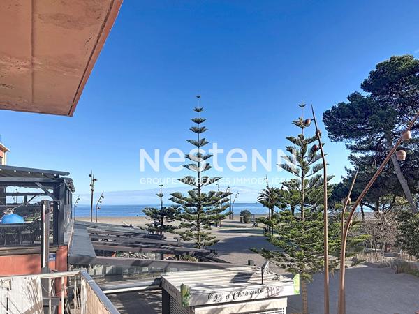 Appartement à Argeles Sur Mer vue mer 2 pièce(s)