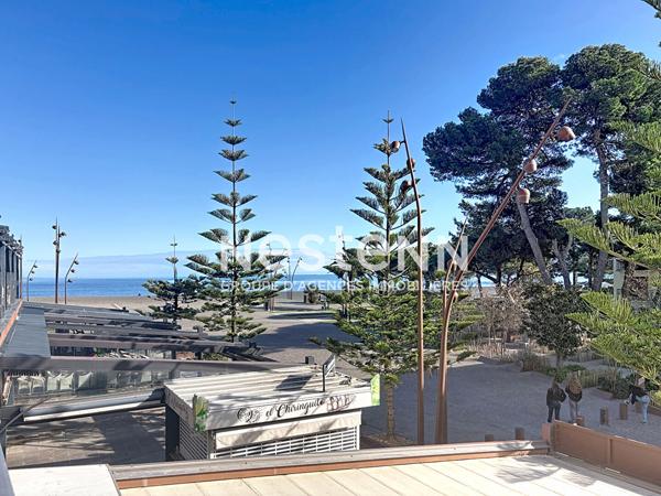 Appartement à Argeles Sur Mer vue mer 2 pièce(s)