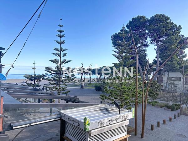 Appartement à Argeles Sur Mer vue mer 2 pièce(s)