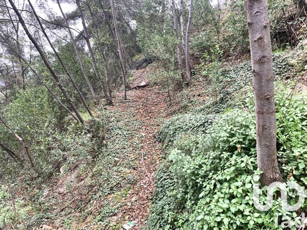 Terrain à vendre 1 000 m² Gorbio