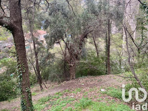 Terrain à vendre 1 000 m² Gorbio