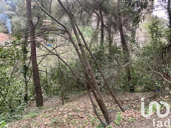 Terrain à vendre 1 000 m² Gorbio