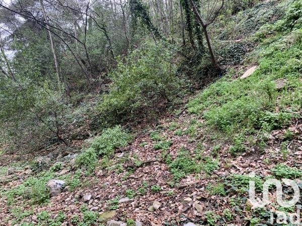 Terrain à vendre 1 000 m² Gorbio