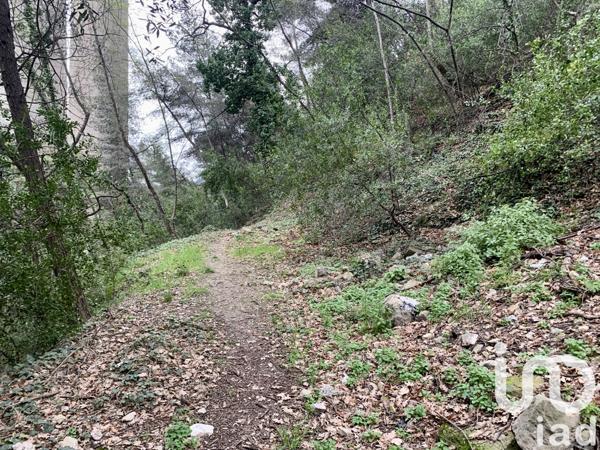 Terrain à vendre 1 000 m² Gorbio