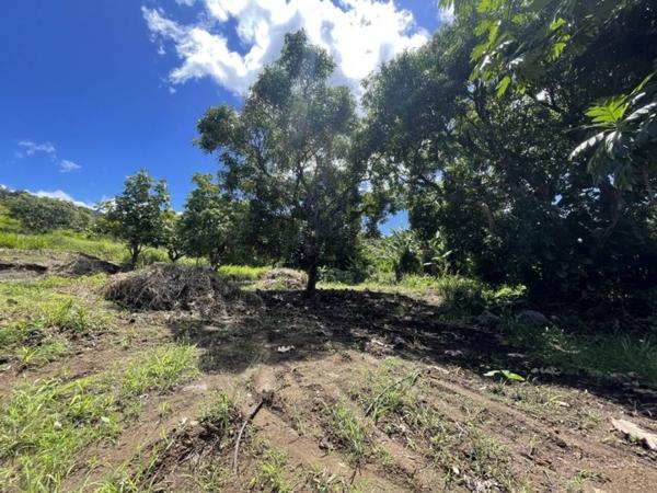 Terrain à vendre de 800 m²