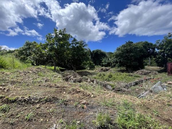 Terrain à vendre de 800 m²