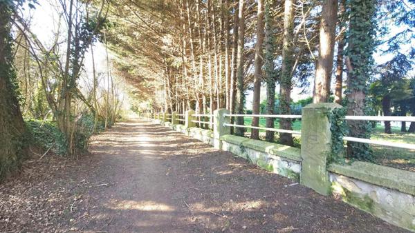 (95000) CERGY  - Hôtel restaurant en finition travaux 3.603 m² HAM terrain 15.262 m²