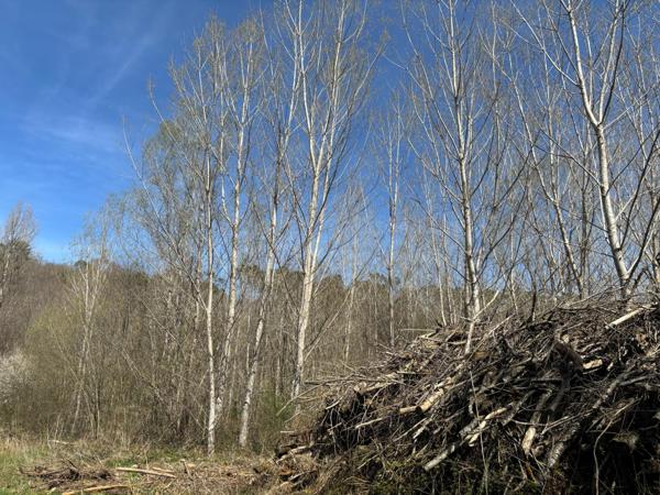 Opportunité de revenus immédiats