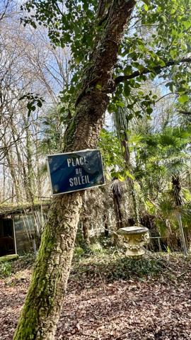 Superbe Terrain Boisé ( Landes ) - Idéal pour Loisirs et Nature