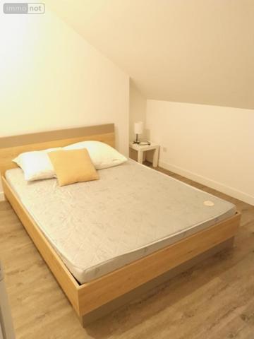 Maison à vendre à Orléans dans le Loiret (45000), ref : 45004-393