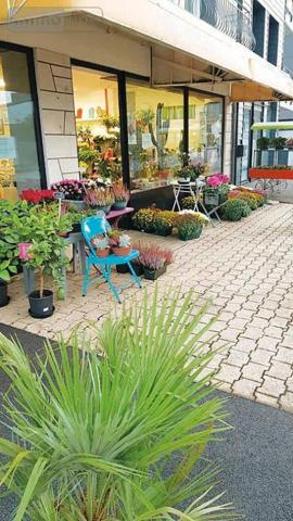 Immeuble à vendre à Crozon dans le Finistère (29160), ref : 2024/2010B