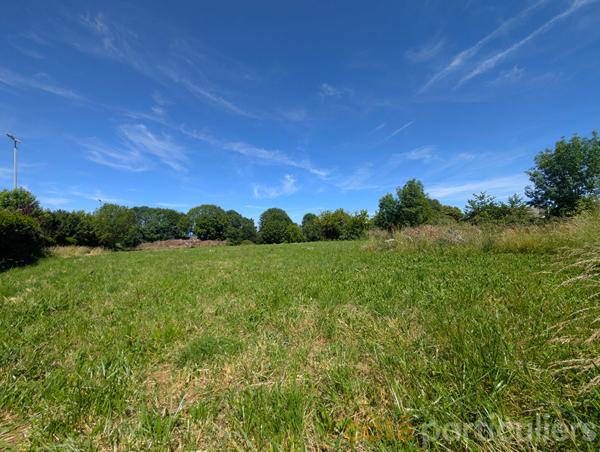 Vente
                Terrain2761 m² - MOYRAZES (12160)