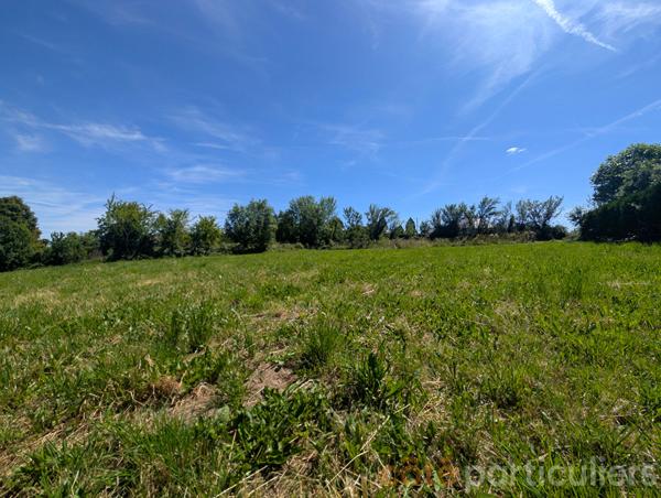 Vente
                Terrain2761 m² - MOYRAZES (12160)