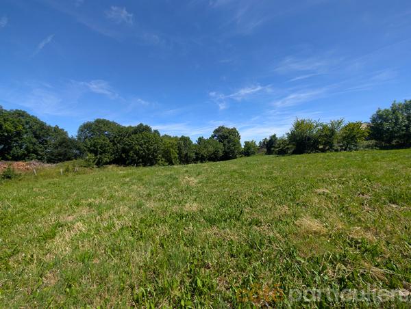 Vente
                Terrain2761 m² - MOYRAZES (12160)