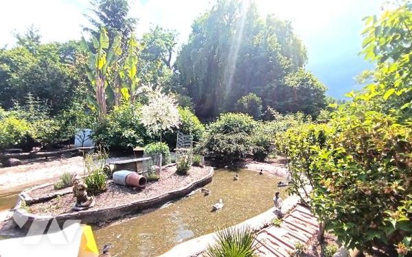 BEAU POTENTIEL SUPERFICIE