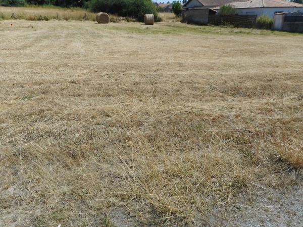 Saint-Michel-Chef-Chef : terrain à bâtir à acheter 609 m²