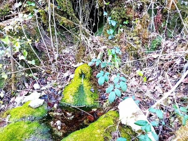 Maison 125m² 5 pièces vue rivière