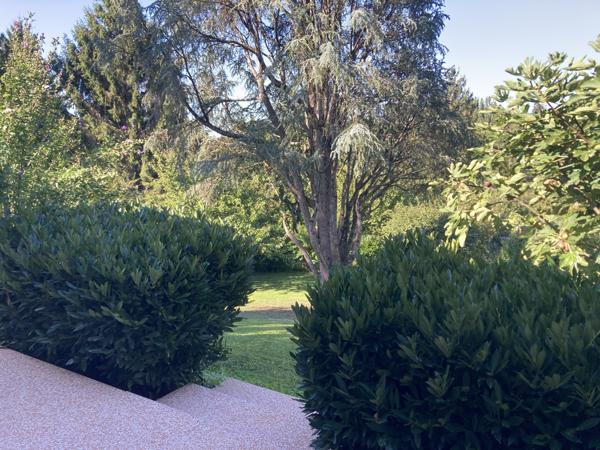 VILLIEU LOYES MOLLON - Belle villa d'architecte de 133 m² (256 m² au sol ) sur son terrain arboré de 1975 m² Villieu-Loyes-Mollon (01800)