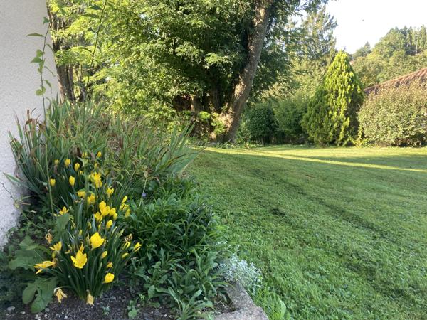 VILLIEU LOYES MOLLON - Belle villa d'architecte de 133 m² (256 m² au sol ) sur son terrain arboré de 1975 m² Villieu-Loyes-Mollon (01800)