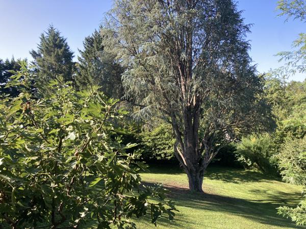 VILLIEU LOYES MOLLON - Belle villa d'architecte de 133 m² (256 m² au sol ) sur son terrain arboré de 1975 m² Villieu-Loyes-Mollon (01800)