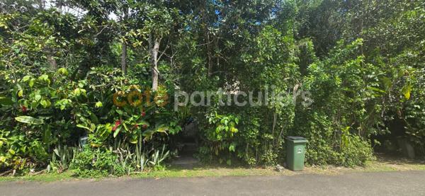 Vente Terrain3197 m² - LAMENTIN (97129)