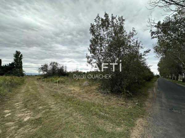 Terrain agricole de 2000m² avec forage