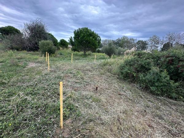 Terrain agricole de 2000m² avec forage