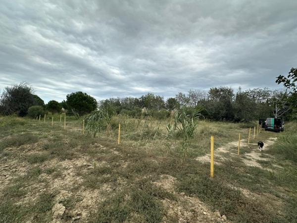 Terrain agricole de 2000m² avec forage
