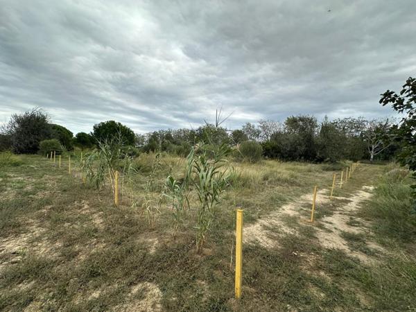 Terrain agricole de 2000m² avec forage