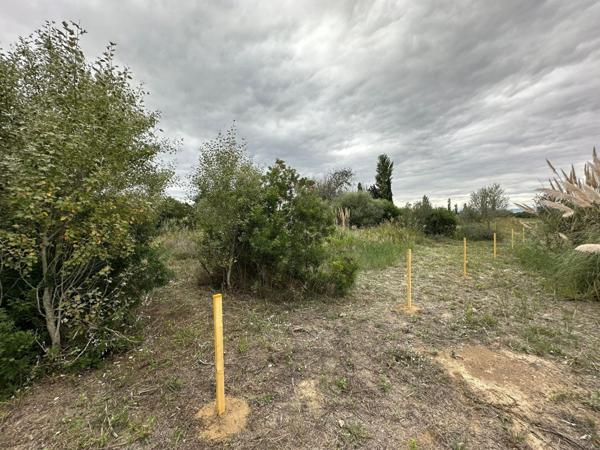 Terrain agricole de 2000m² avec forage