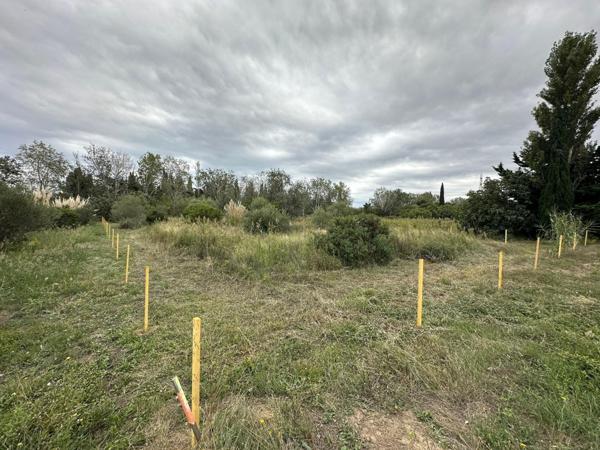 Terrain agricole de 2000m² avec forage