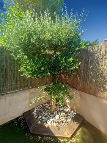 Maison T4 98m2, jardin, terrasse, 3 chambres, parkings, 10 minutes d'aix-en-provence. Quartier calme et recherché au pied de la Sainte-Victoire. Bouches du Rhône.