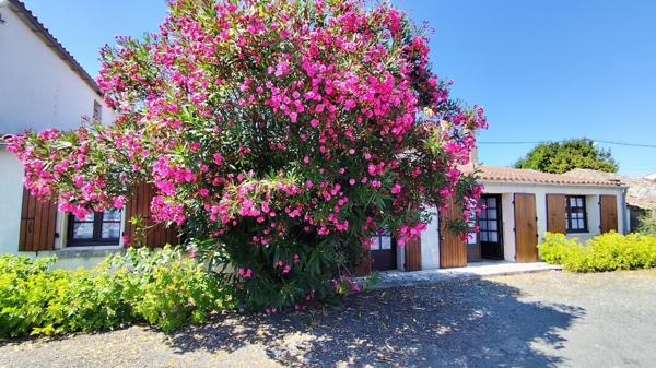 500 m océan, maison 100 m², pierre, charme, cheminée