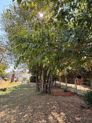 EN EXCLUSIVITE ! Maison en pierre 54m², 2 chambres sur 593m² de terrain + Terrain indépendant de 1420m² 66 500 €
