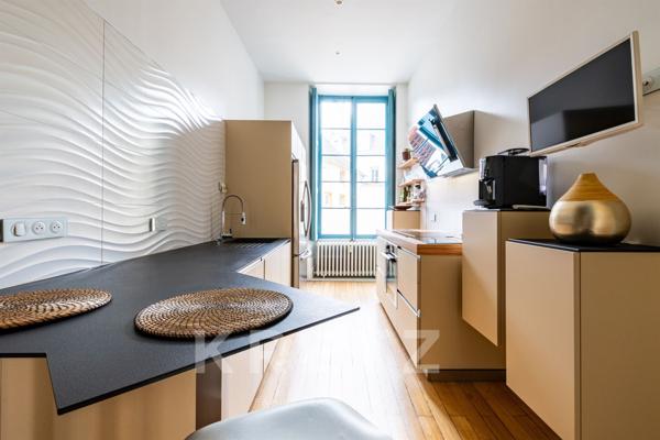 DIJON centre-ville. Luxueux appartement d'exception restauré, caveaux du XV siècle, parkings