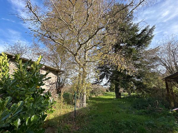 Longère de caractère à Saint-germain-du-plain de 195 m² avec grand terrain