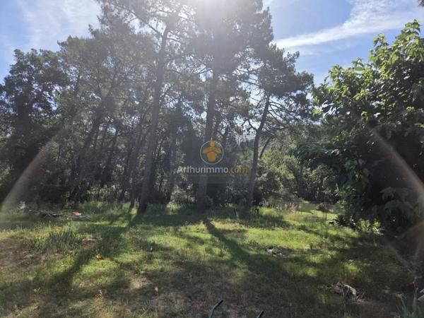 Vente                                                      Maison
                        
                     5 pièces                      99 m2                     à Mondragon