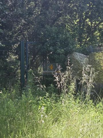 Vente                                                      Maison
                        
                     5 pièces                      99 m2                     à Mondragon